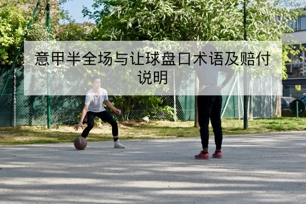 中超积分榜实时排名与净胜球变化查询